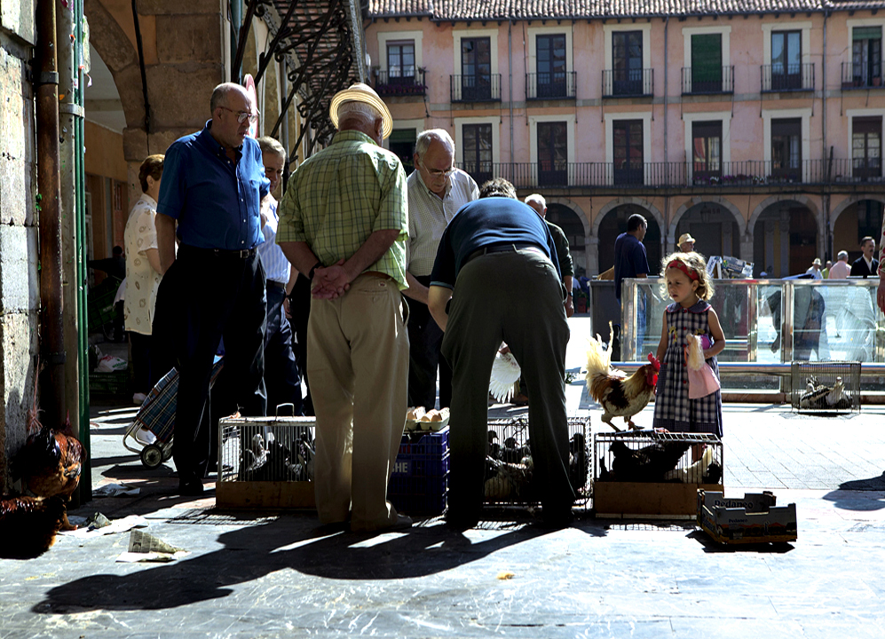 Ampliar Plaza Mayor, Len