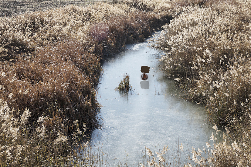 Ampliar Paisaje de resistencia #agua 2#